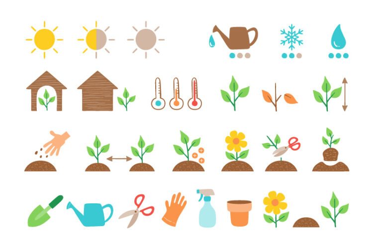 Como leer los símbolos o iconos de las etiquetas para el cuidado de plantas y flores, Qué significan