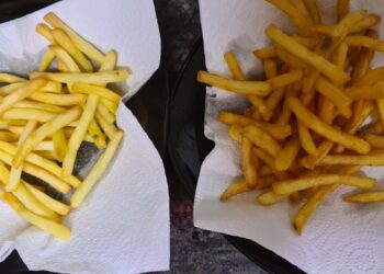 Comparativa patatas fritas freidora de aire SALTER Health del Lidl air fryer y una de aceite normal