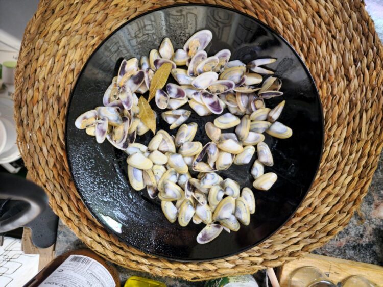 ¡Fácil y rápido! receta de tellinas o coquinas