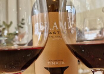 Ceramic la evolución de un vino icónico