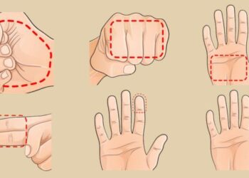 Domina tu alimentación con el poder del puño: La dieta revolucionaria que cambiará tu forma de comer