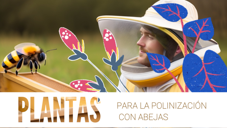 El Festín Floral: Plantas que Alimentan el Éxtasis de las Abejas con su Polen y Néctar”