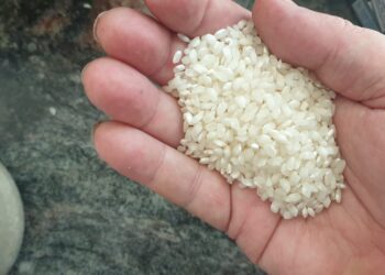 Trucos infalibles para calcular la ración de pasta seca por persona antes de cocinarla